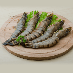 raw black tiger shrimps