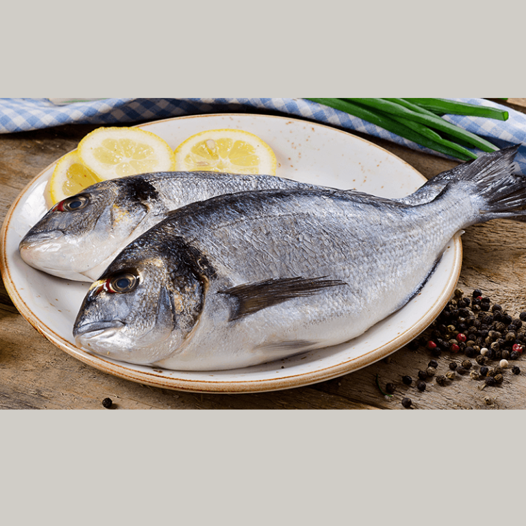 sea-bream-turkey-freshcatch