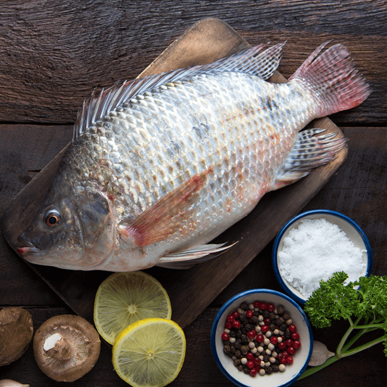 Faskar | FreshCatch