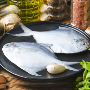 Buy the Finest Quality Wild-Caught King Fish Steak Online