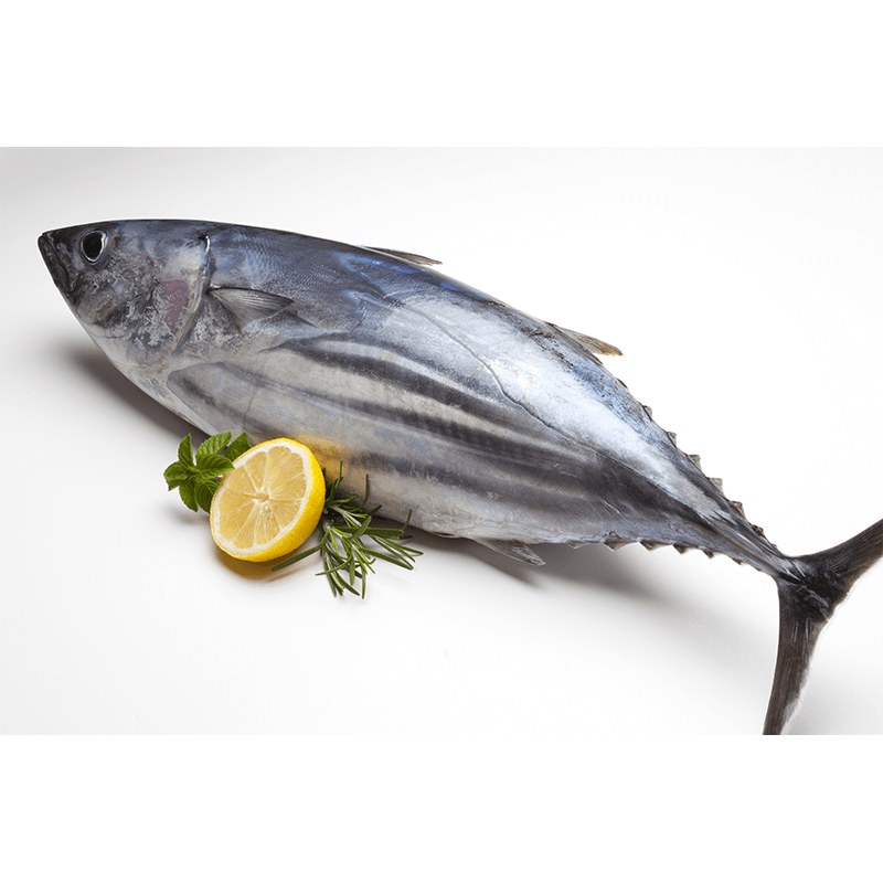 Eat Tuna Fish to Boost Immunity, Heart Will Also Be Healthy