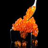 Raw Salmon Roe in black background